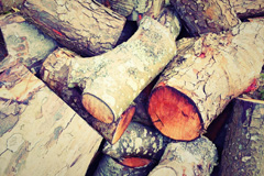 Bagley Green wood burning boiler costs